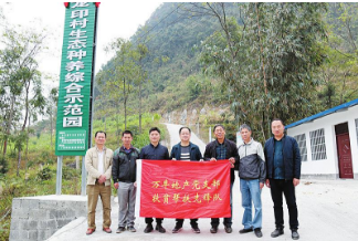 萬豐地産資助馬山(shān)縣金钗鎮龍印村建成生(shēng)态種養綜合示範園