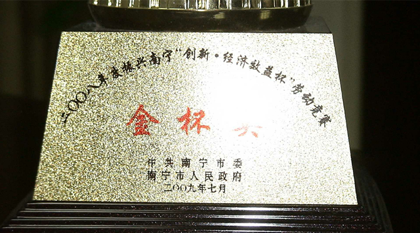 2008年度振興南甯“創新.經濟效益杯”勞動競賽金杯獎